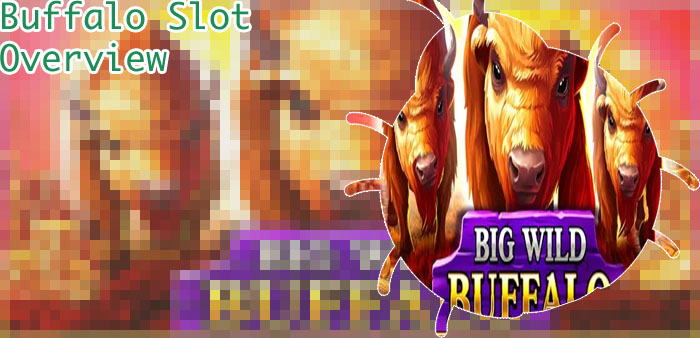 Real buffalo slots